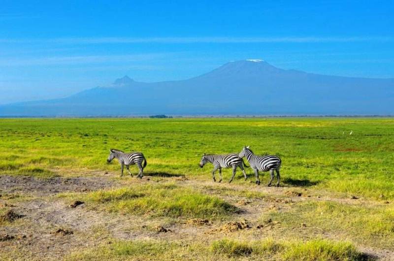Amboseli 2