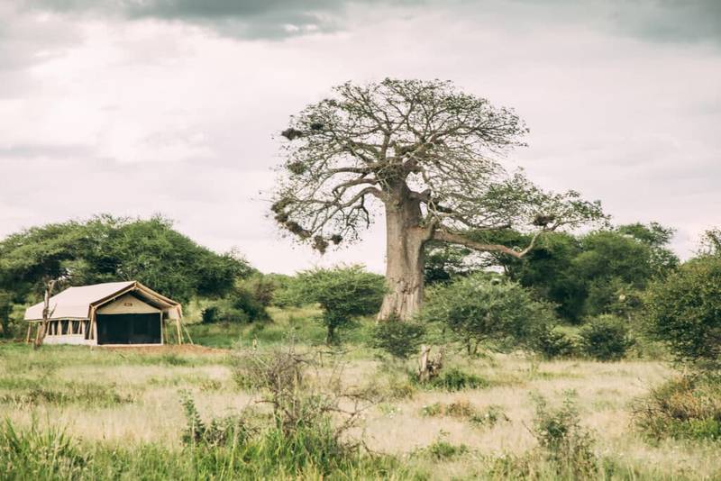 Tarangire Tortilis Camp 1