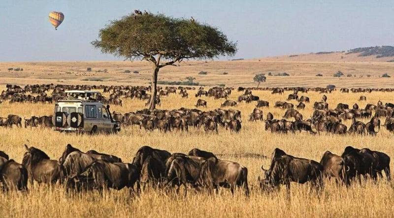 Guide To Masai Mara e1642672104521