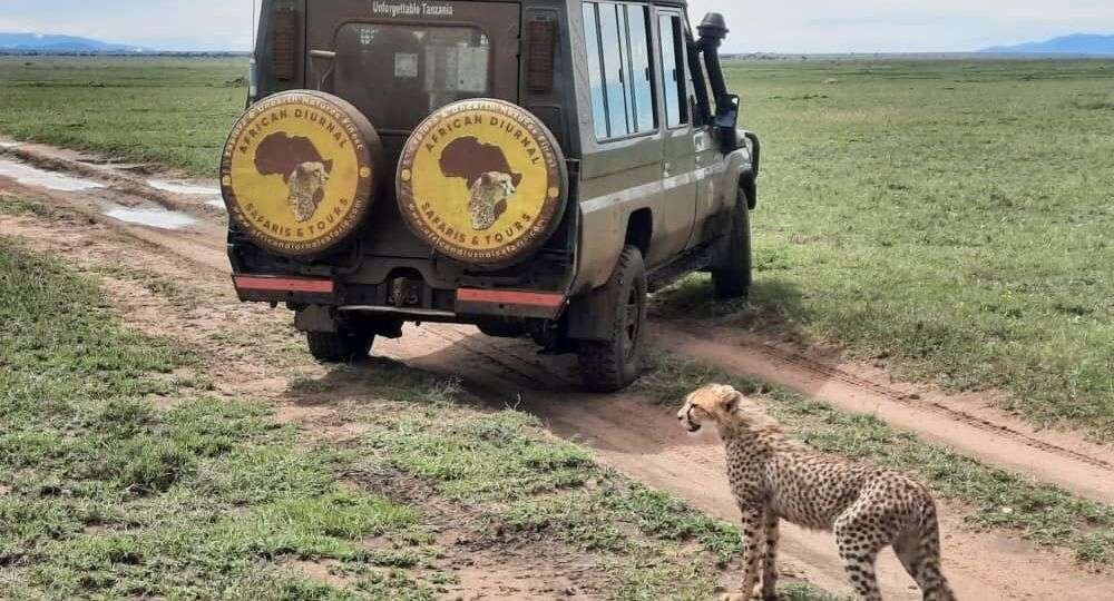 Serengeti Safari from Mwanza 10