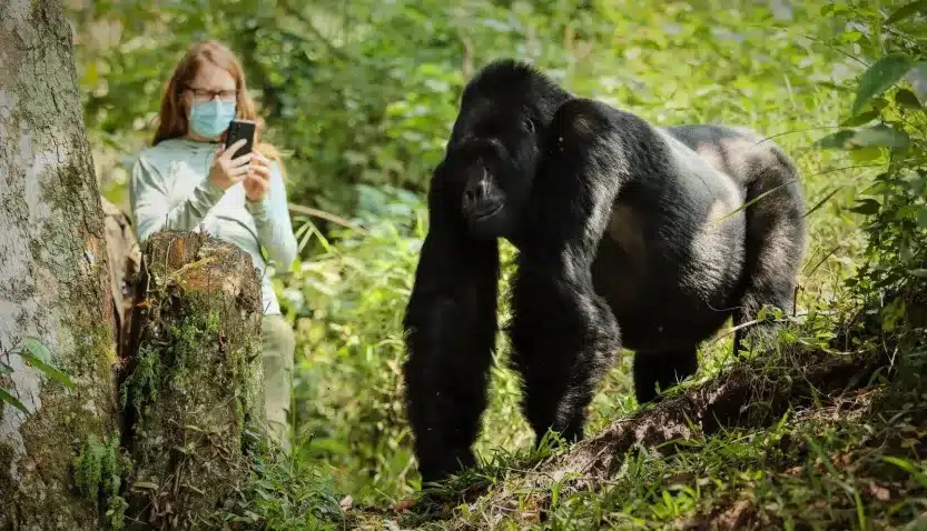 Things to do see while in Bwindi
