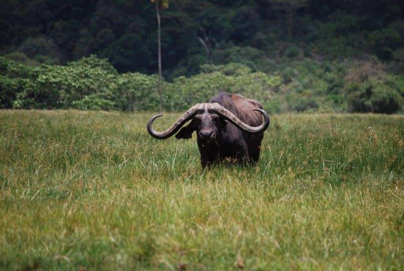 arusha national park