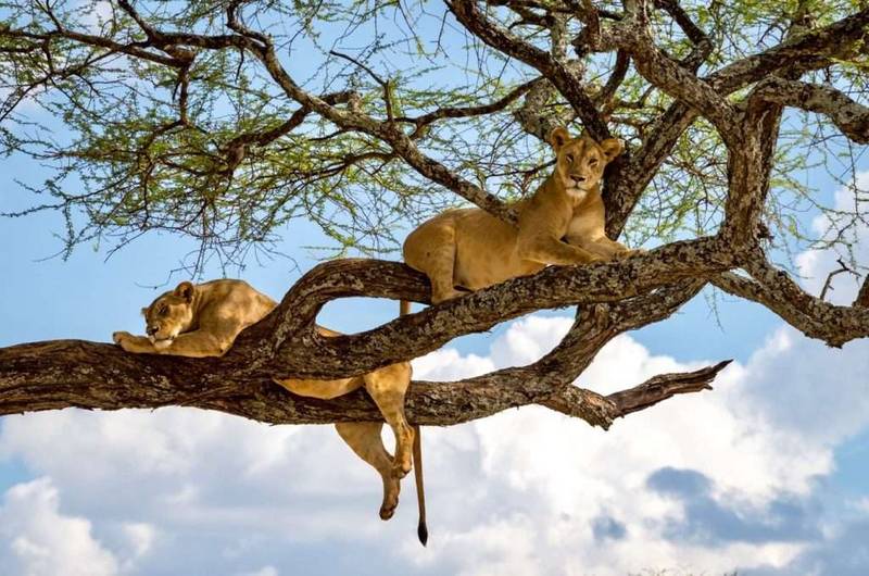lake manyara national park