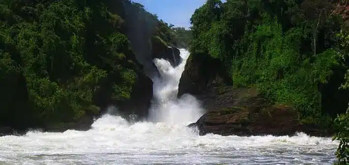murchison falls national park uganda 1
