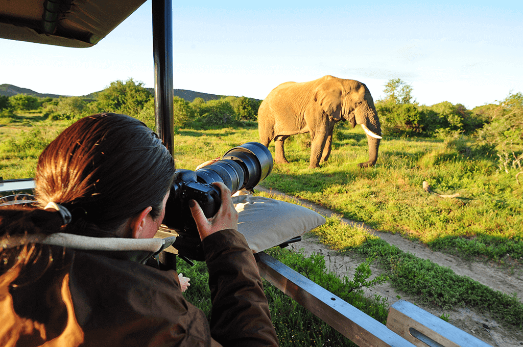 Best Time to Visit Serengeti for Photographers