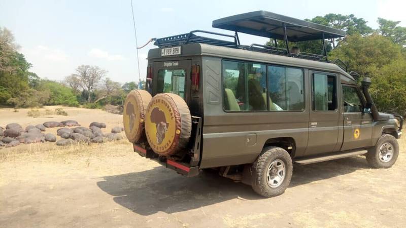 Guided Game Drive for Things to Do in Serenmgeti National Park