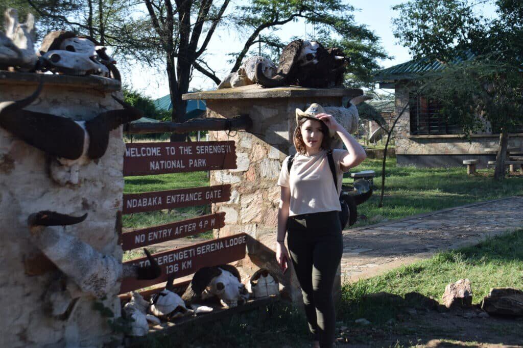 African Safari Destination African Safari Destination