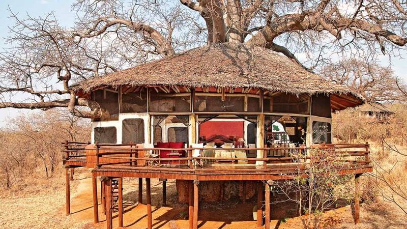 Tarangire Treetops Luxury Safari Lodge-Tarangire Treetops