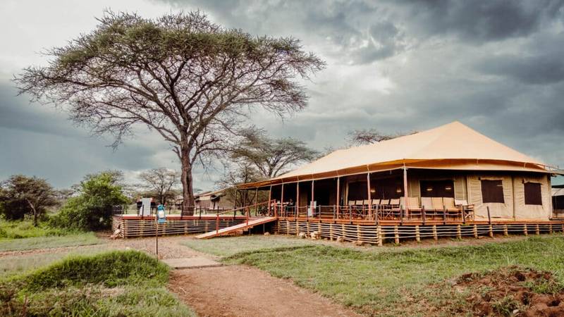 Ang'ata Serengeti