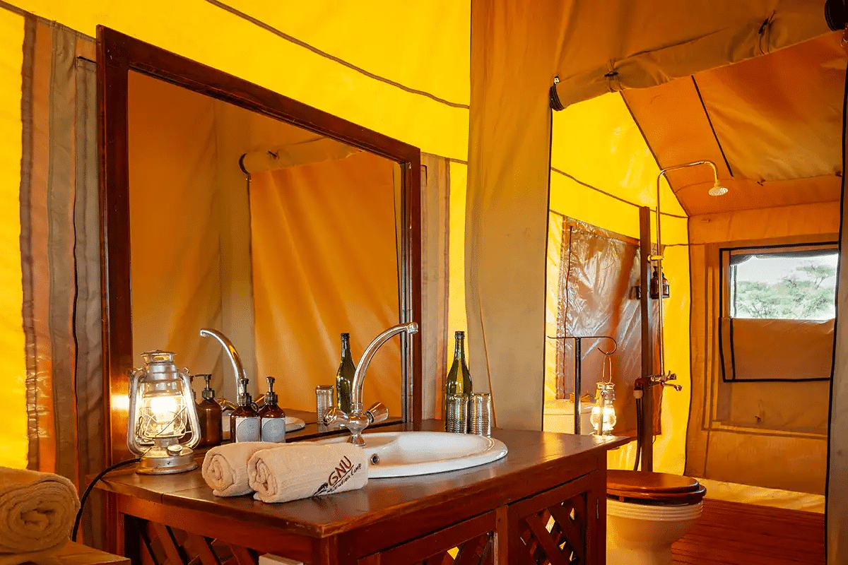 Gnu Ndutu Camp 1