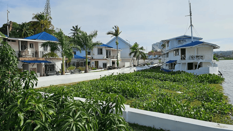 Hotel Tilapia 2