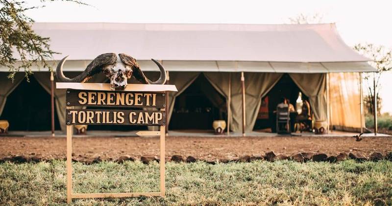serengeti 2
