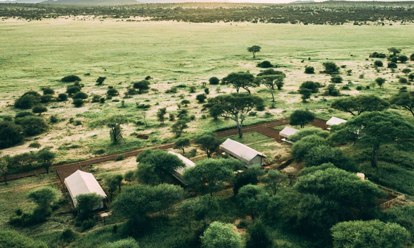 tarangire 6