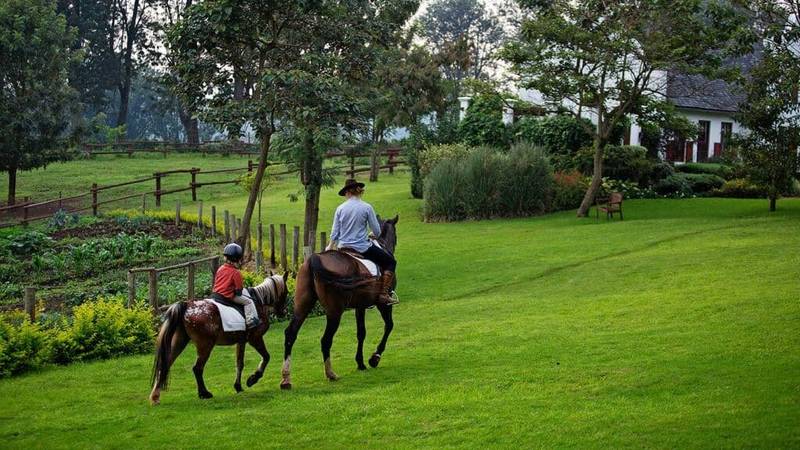 Tanzania Family Safaris Horse Riding at The Manor Tanzania Family Safaris Horse Riding at The Manor