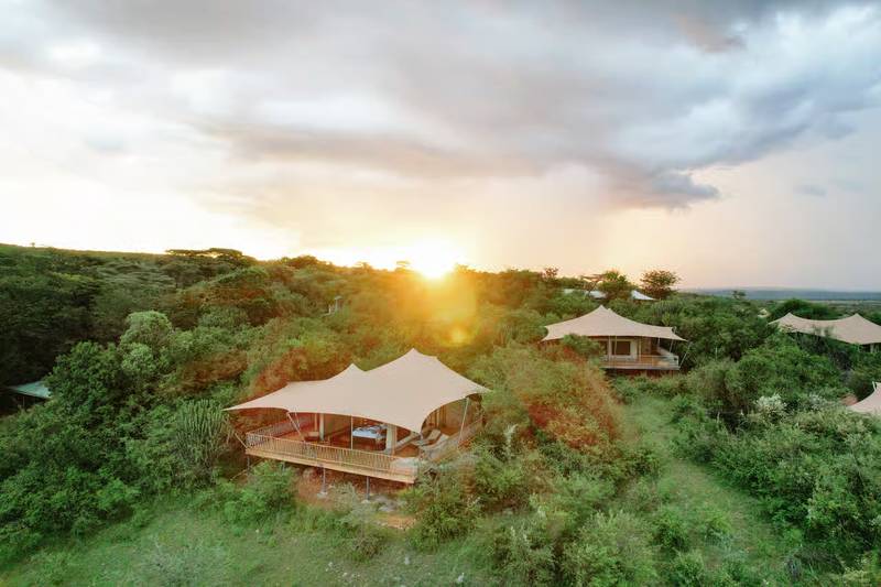 Camp Mara Bushtops