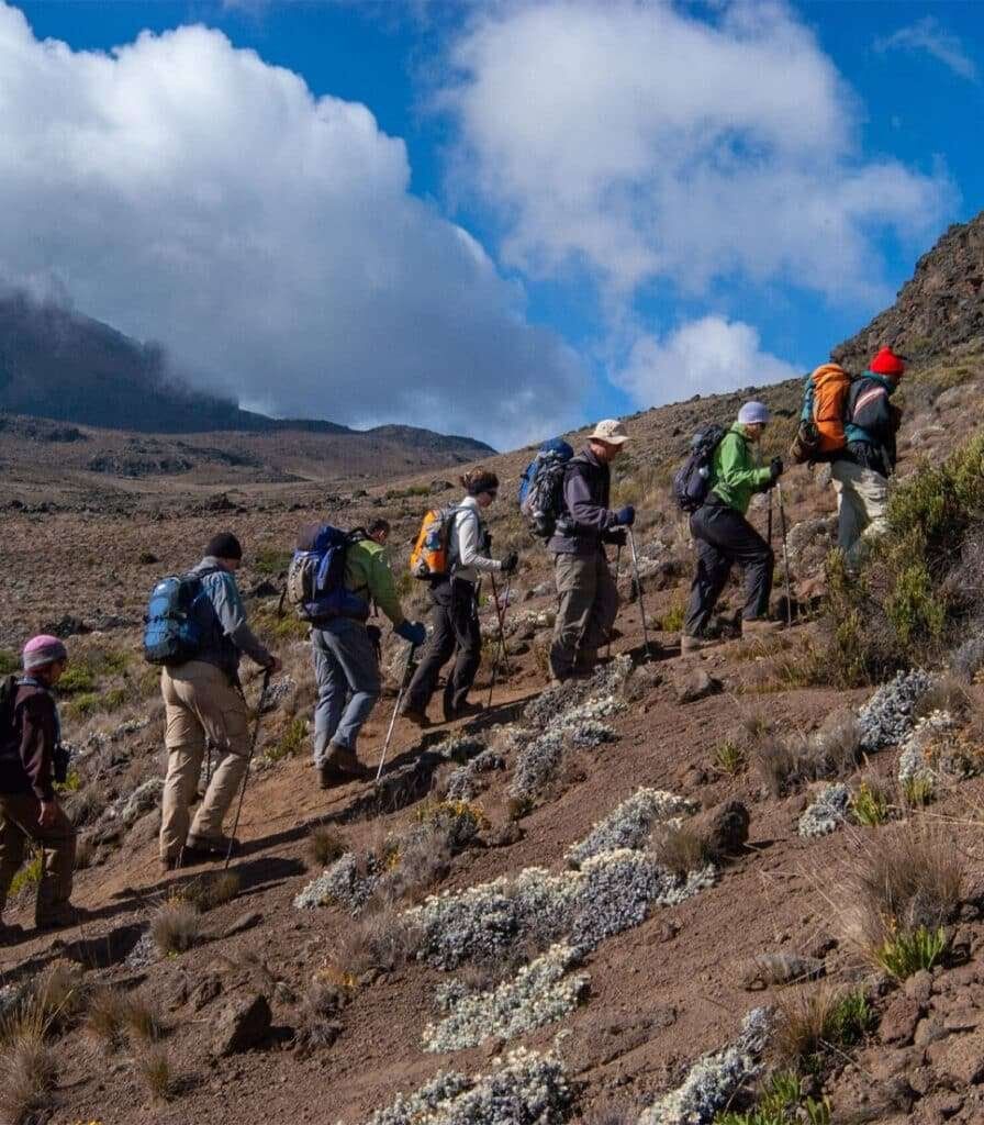 Kilimanjaro Marangu Route 3