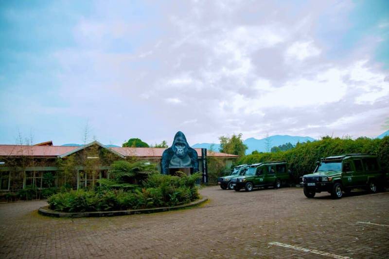 Mountain Gorilla View Lodge