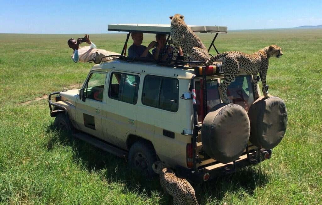 Serengeti Safari Tours5