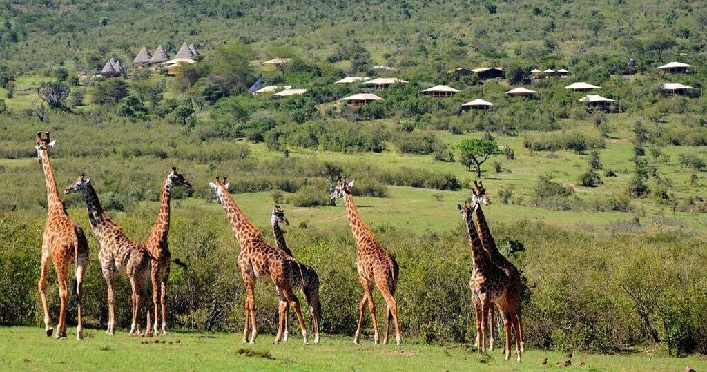 East Africa Great National Parks and Zanzibar Beach