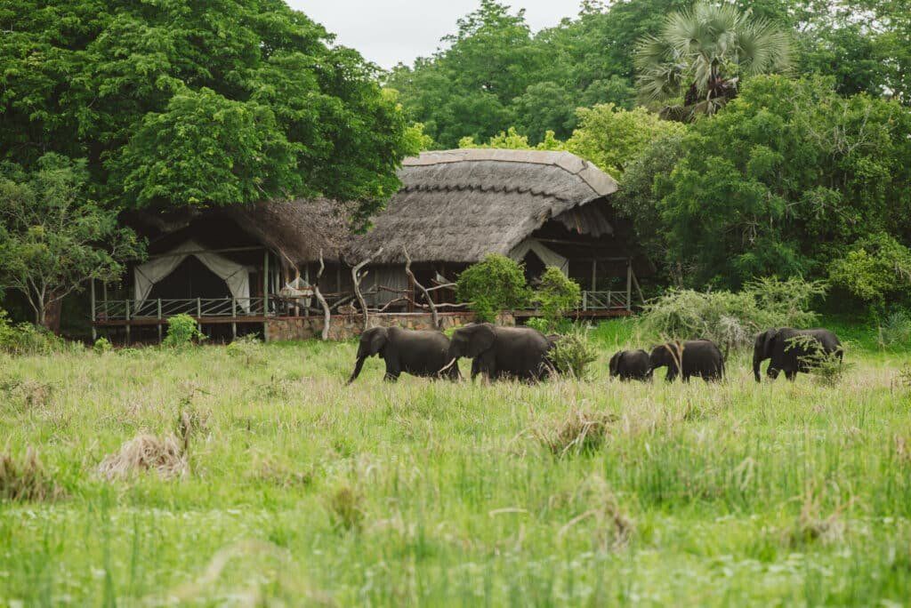 Katavi Camp Family Suite Elephants