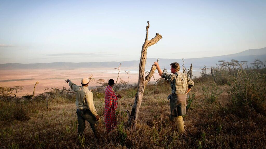 Tanzania Safari & Bush Walk 1