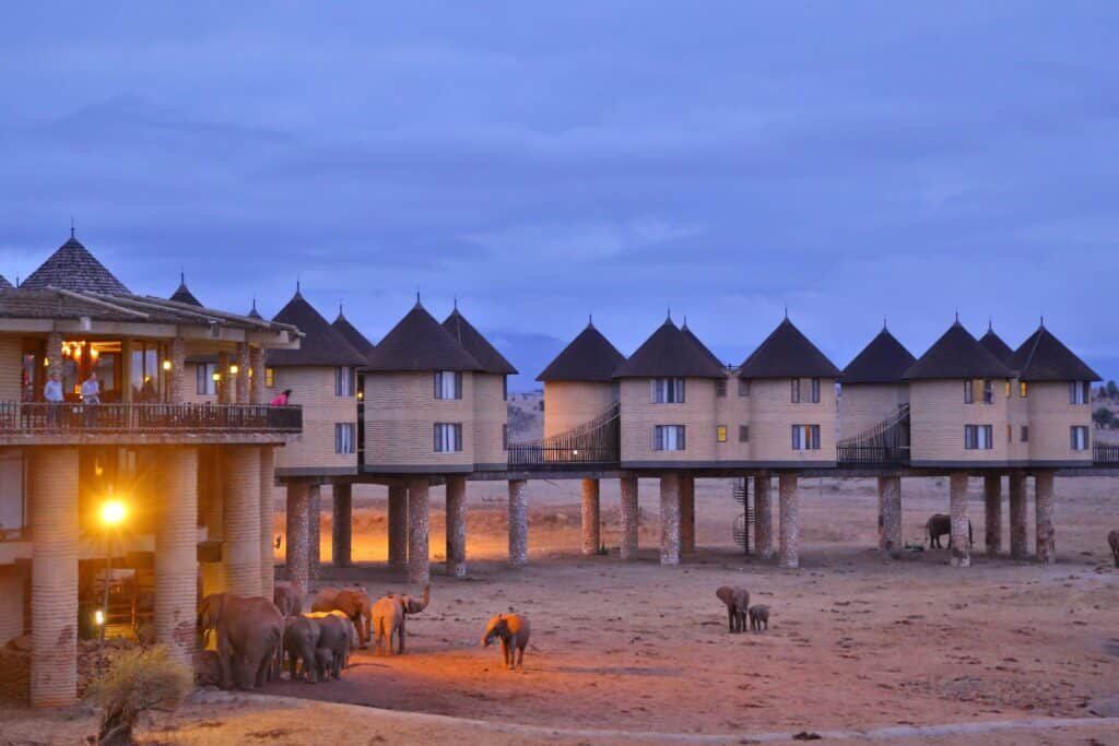 Salt Link Safari Lodge