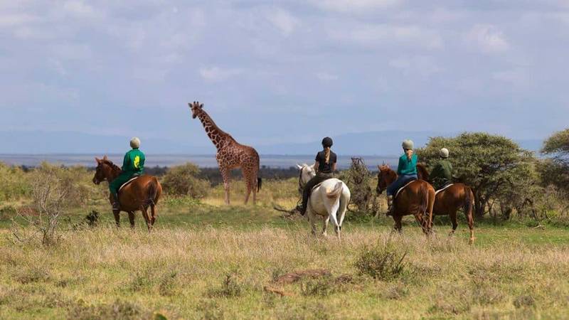 Kenya's Wildlife, Riding & Barefoot Beach