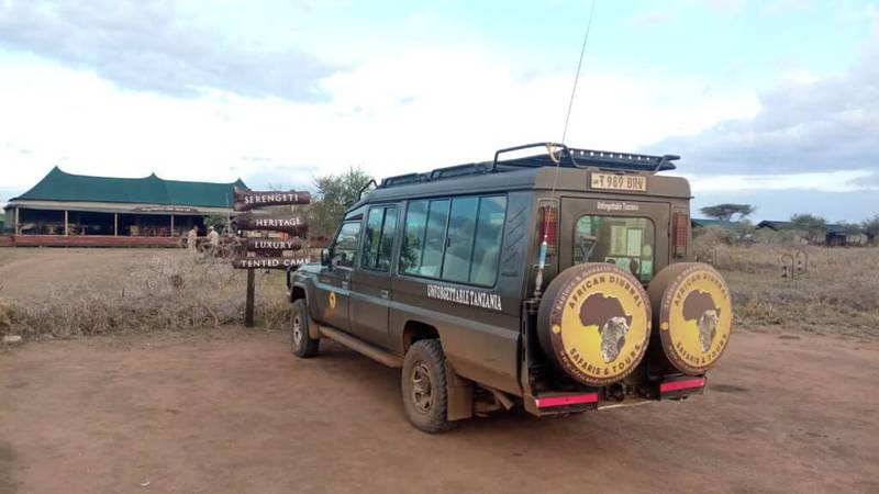 How to Plan a Safari in Tanzania
