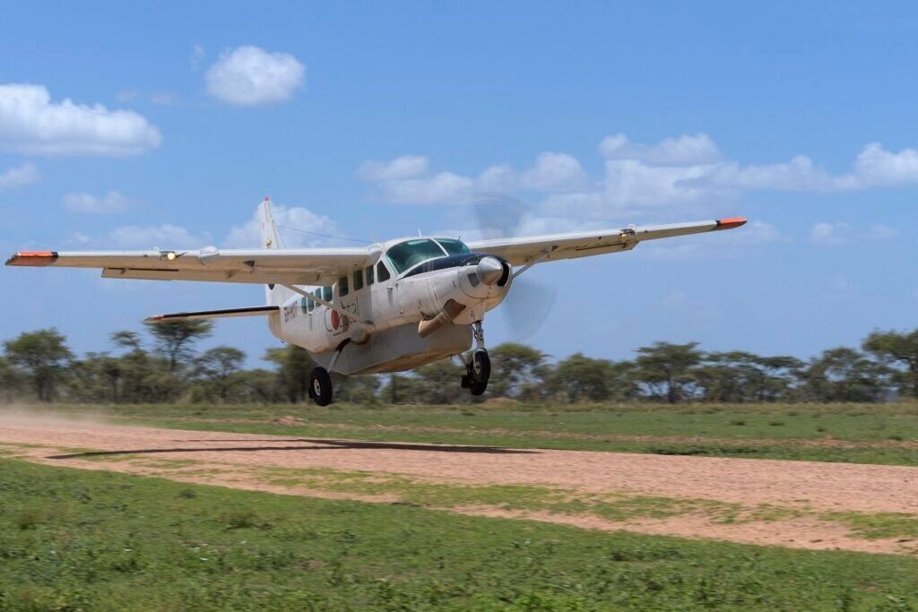Comfortable-Serengeti-Safari