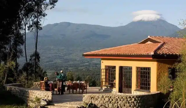 Mountain Gorilla View Lodge 7