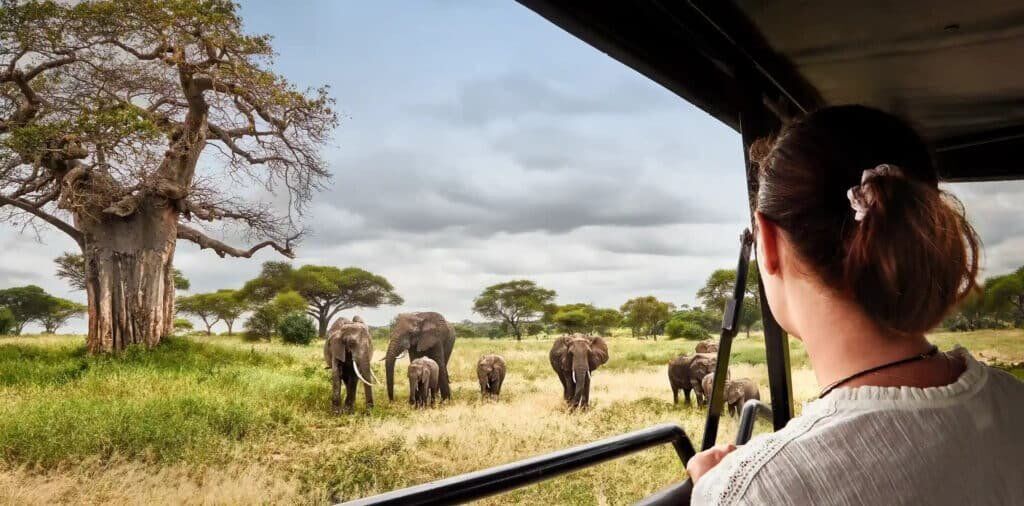 Tanzania Safari Experience