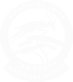 tanapa 1 1