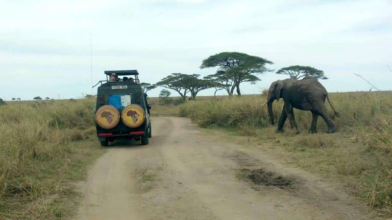 Serengeti National Park 1