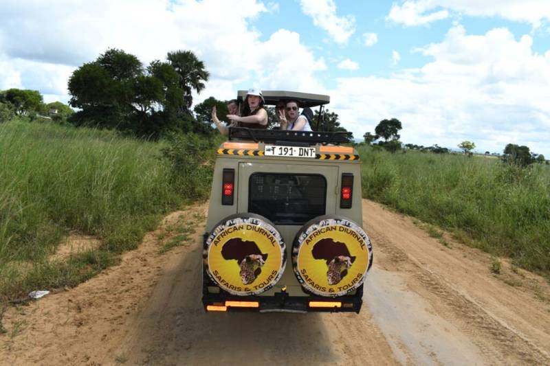 Game Drive in Mikumi National Park