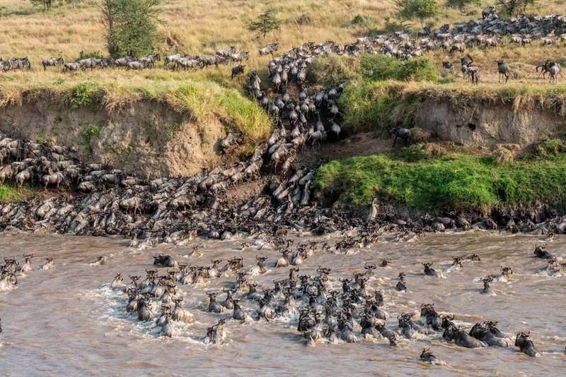 Mara River Mara River
