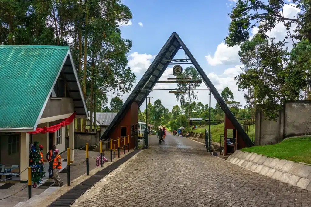 Moshi Machame gate Machame Camp