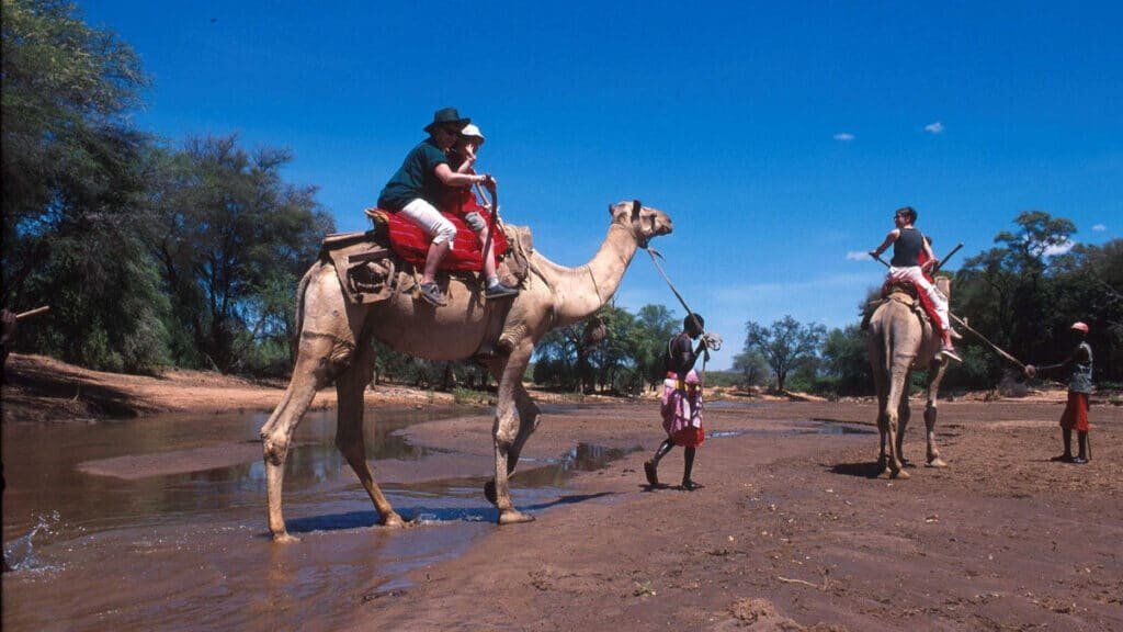Camel Riding Camel Riding