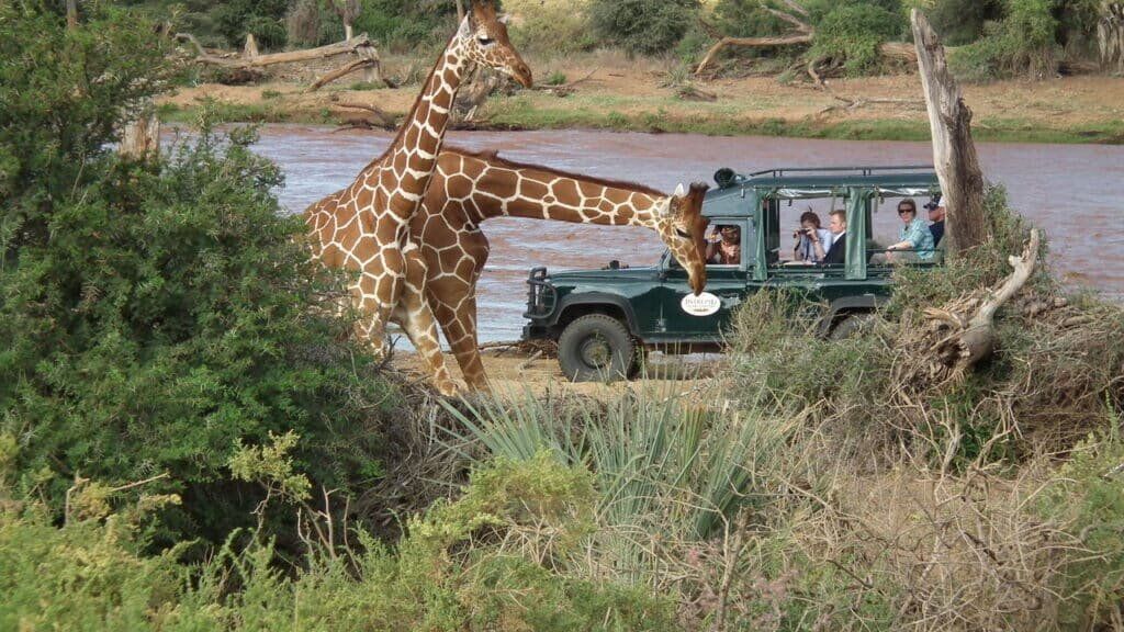 Game Drive in Samburu Game Drive in Samburu