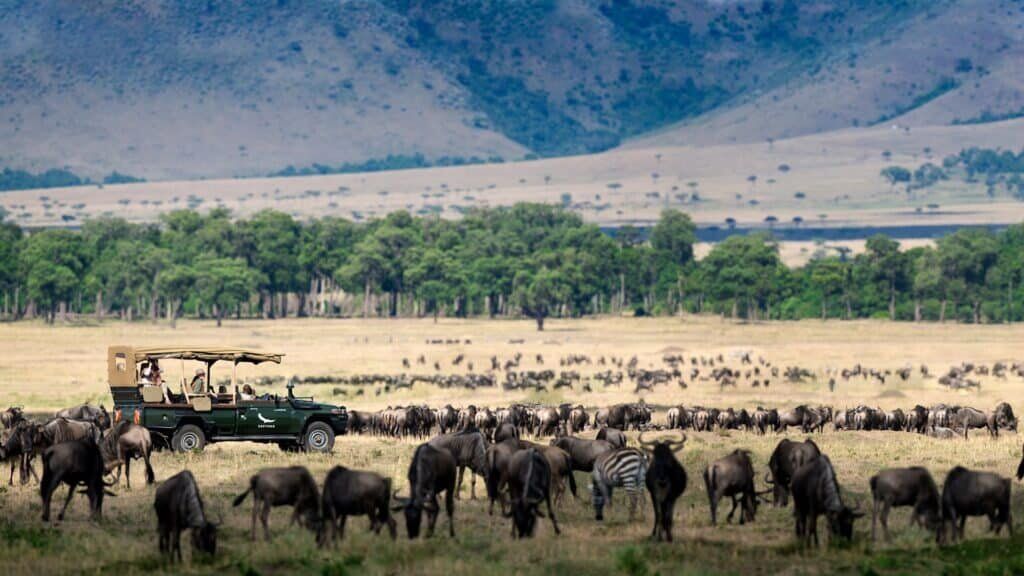 Planning a Masai Mara Safari