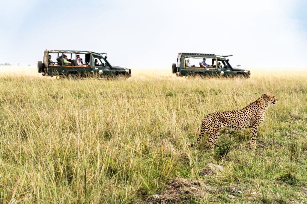 How to Choose the Right Kenya Safari for You How to Choose the Right Kenya Safari for You