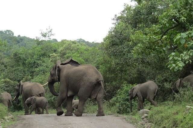 arusha national park