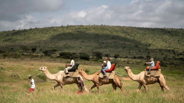 elewana loisaba lodo springs activities camel riding