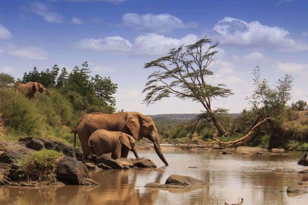 Samburu Game Reserve 3