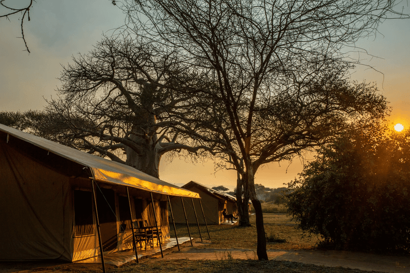Baobab Camp - Tarangire