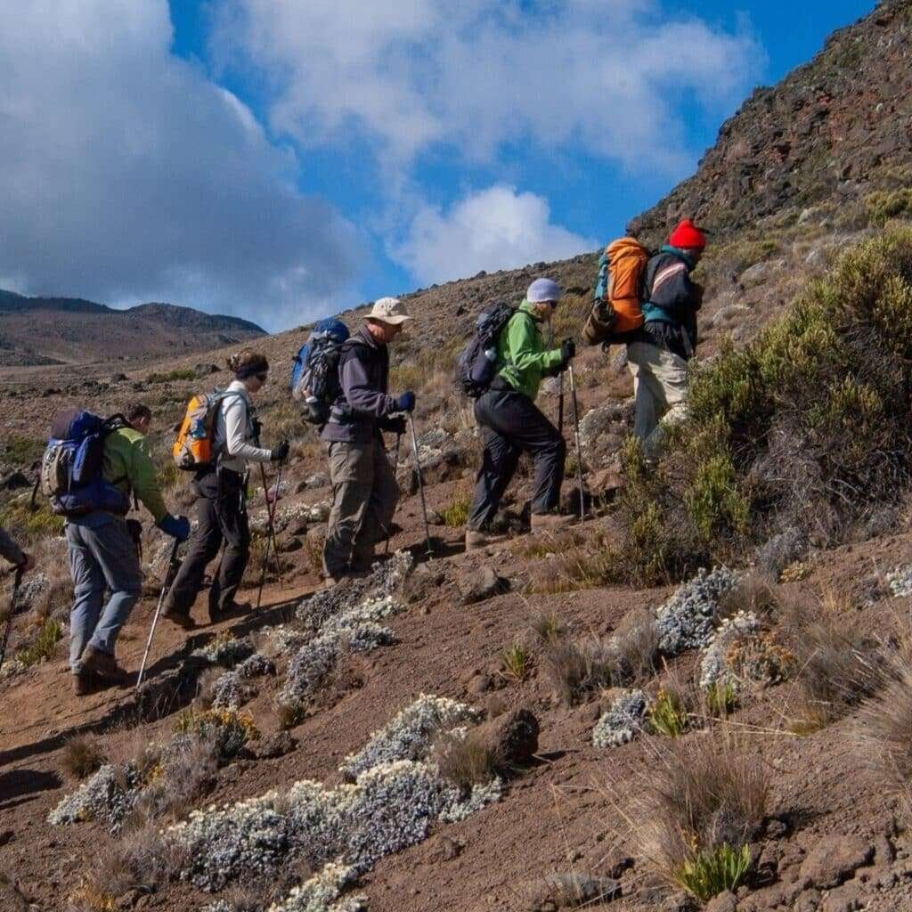 Kilimanjaro Rongai Route