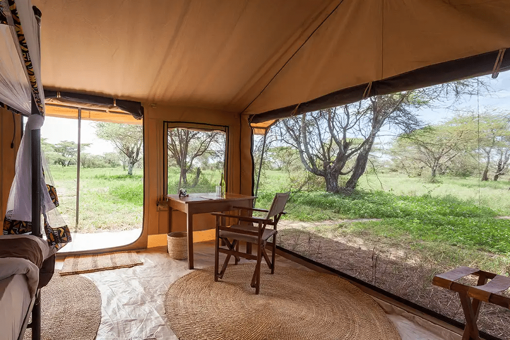 Gnu Ndutu Camp 3